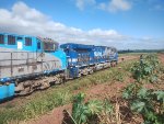 RUMO 9877